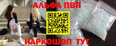 крисы Кингисепп
