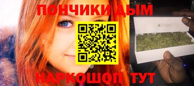 крисы Кингисепп