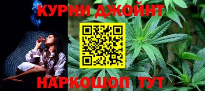крисы Кингисепп